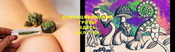 трава Богданович