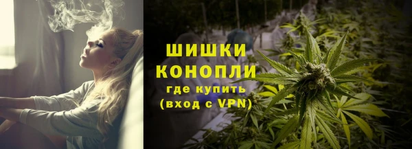 трава Богданович